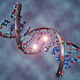 Illustration for article titled This Experiment First Cracked the Genetic Code—But Most People Have Never Heard of It